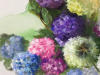 softpastel-Hortensias-50x40-cm te koop