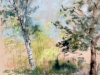 Plein-air-softpastel-landschap-met-Berk
